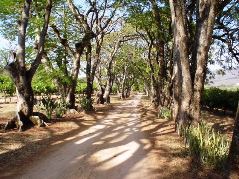 driveway