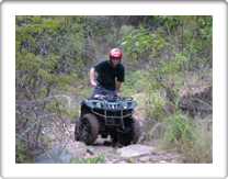quad5